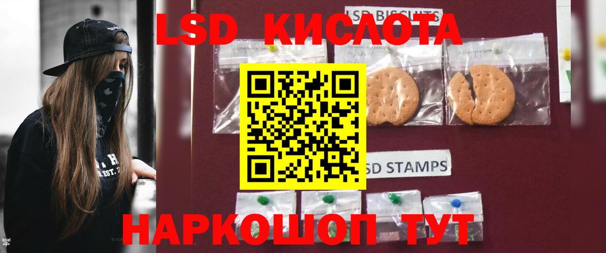 Гашиш  Конопля  ЭКСТАЗИ  Александров  Меф   Вход с VPN 