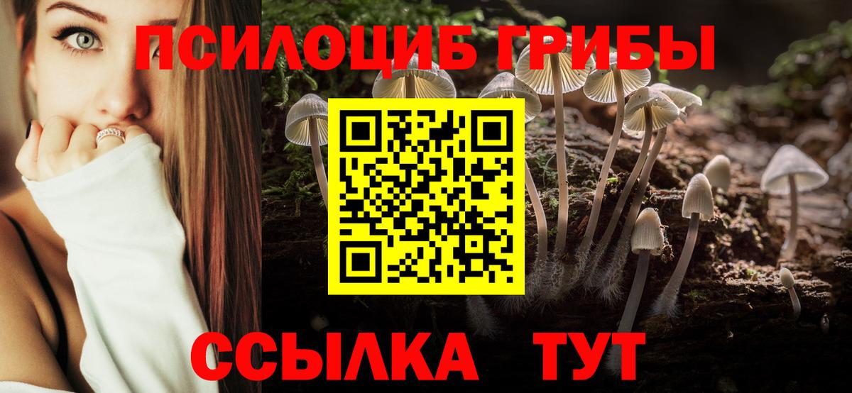 как найти закладки  Псилоцибиновые грибы мухоморы  Вход с VPN  Александров 